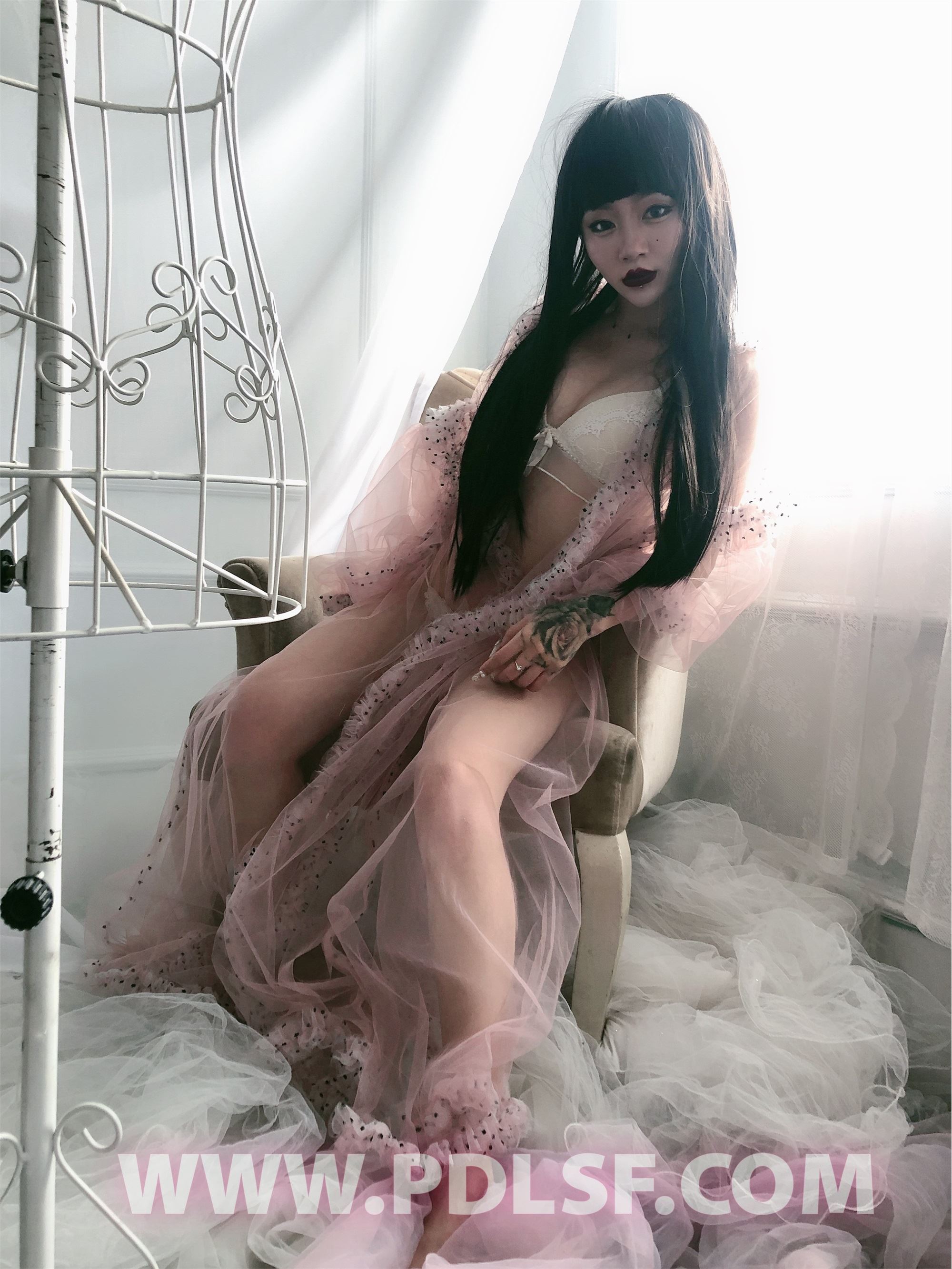 PDL潘多拉 2020.02.03 专辑No.275